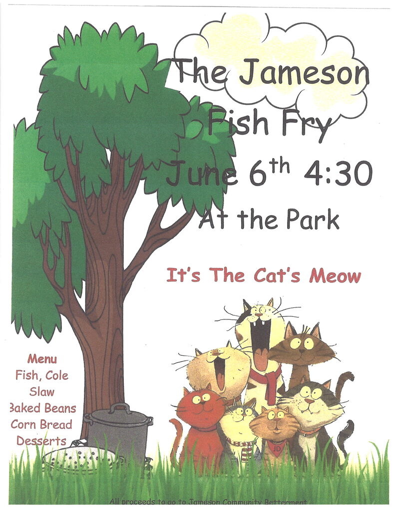 JCB Fish Fry 26