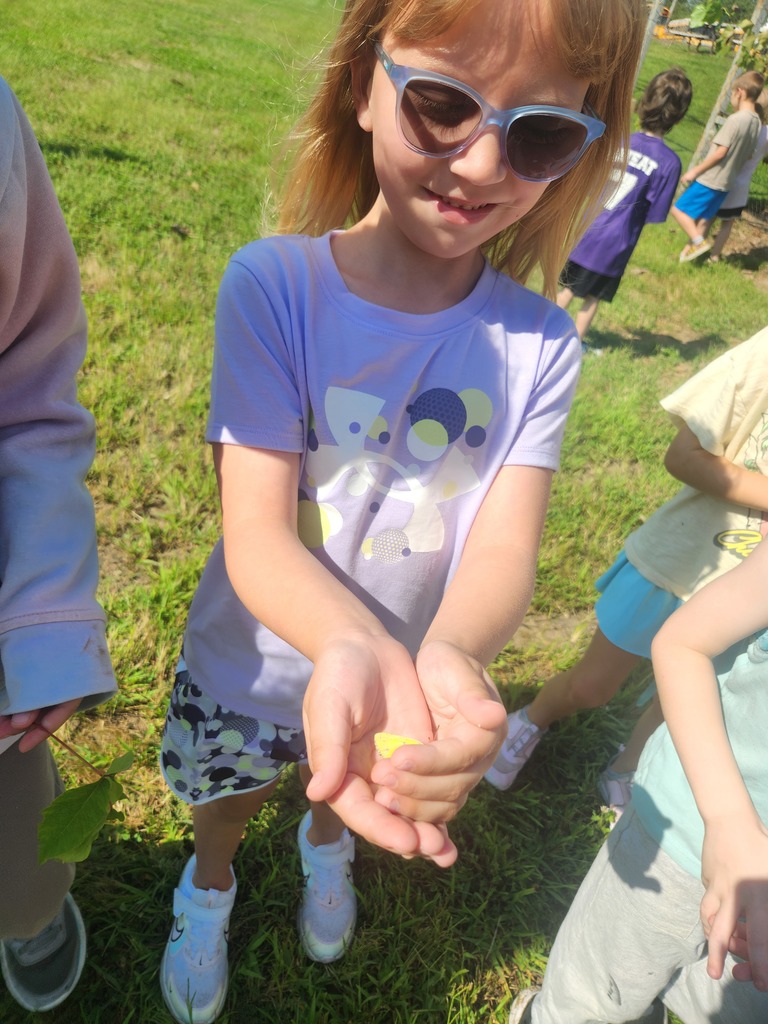 Showing a Butterfly