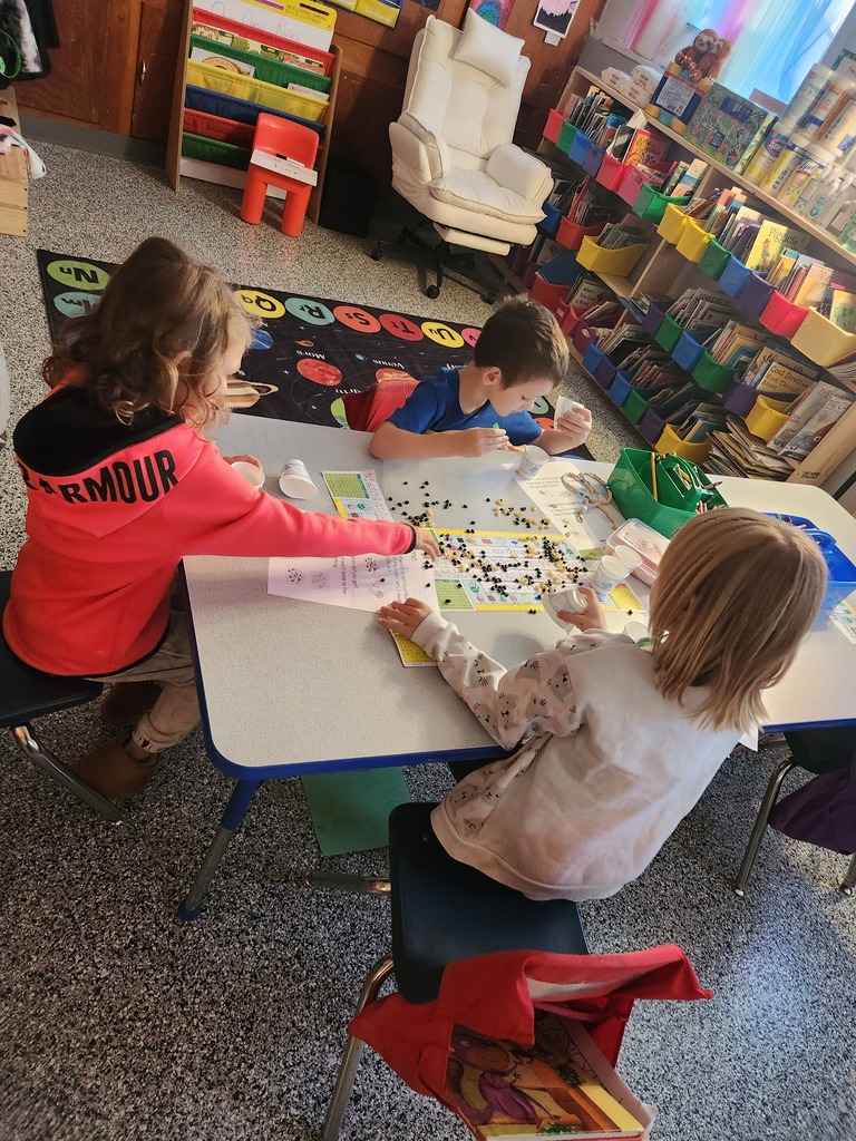 Students participating in the science investigation.
