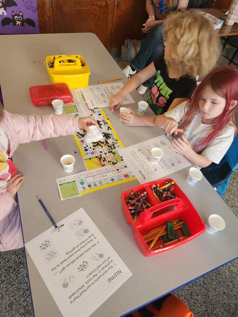 Students participating in the science investigation.