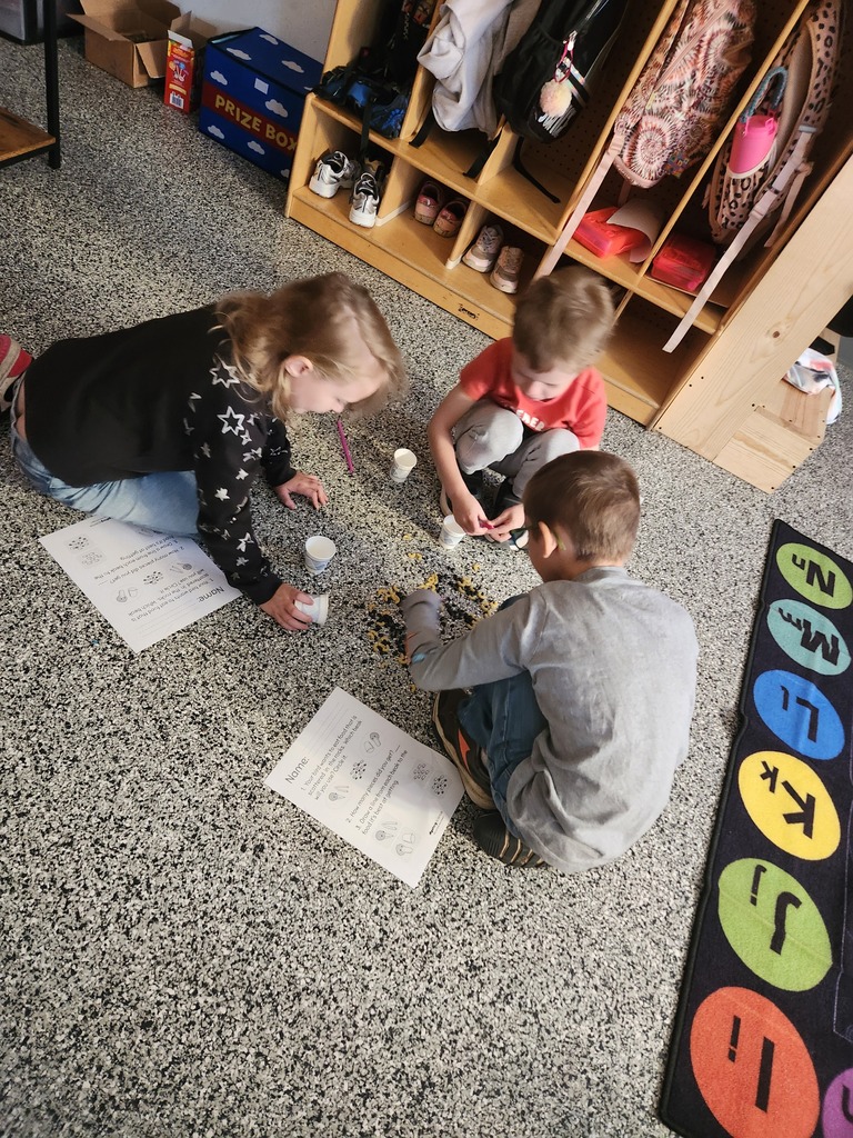 Students participating in the science investigation.