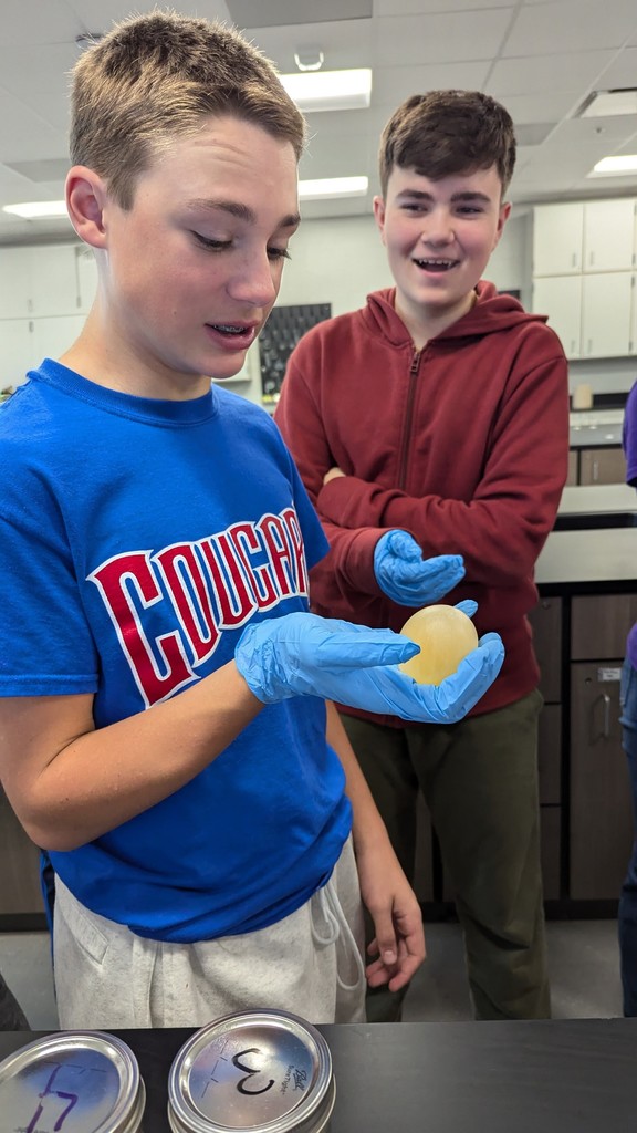 Steel Wool and Egg Drop Lab with Mrs. Wade