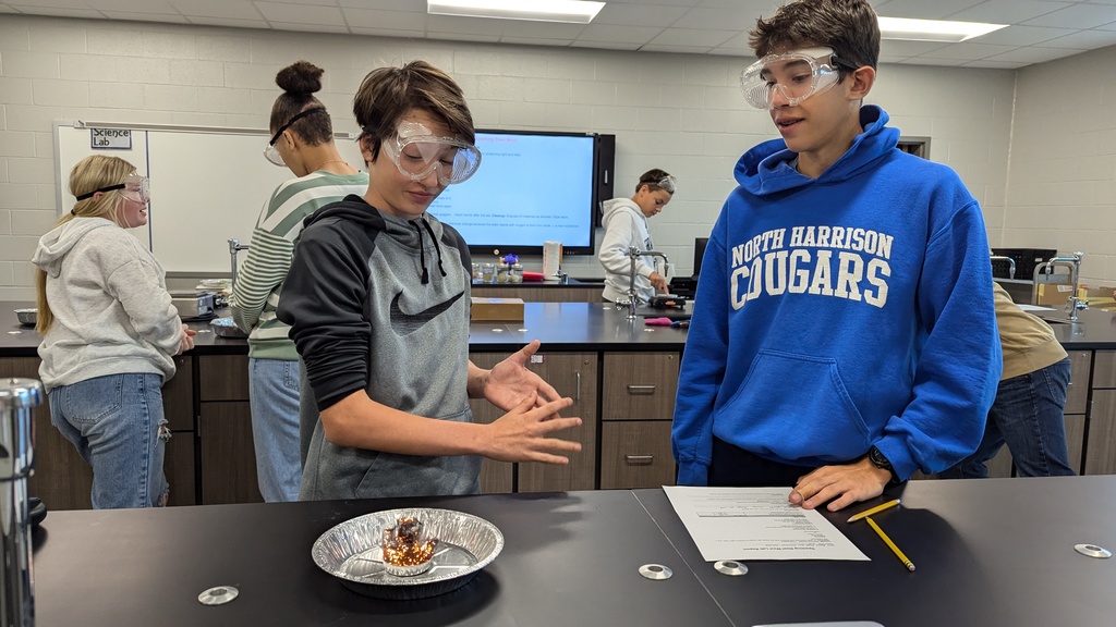 Steel Wool and Egg Drop Lab with Mrs. Wade