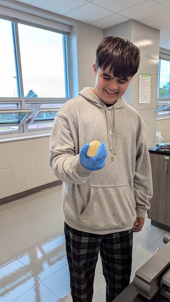 Steel Wool and Egg Drop Lab with Mrs. Wade