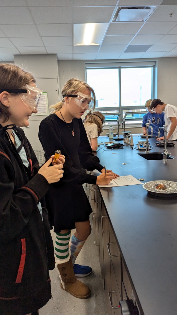 Steel Wool and Egg Drop Lab with Mrs. Wade