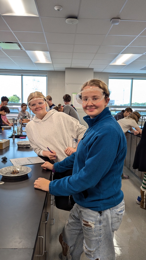 Steel Wool and Egg Drop Lab with Mrs. Wade