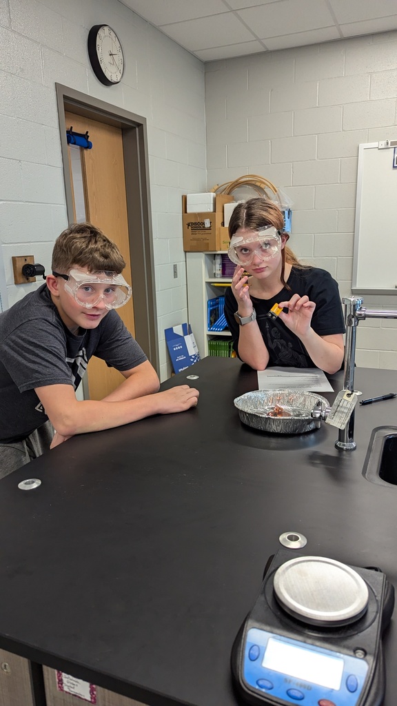 Steel Wool and Egg Drop Lab with Mrs. Wade