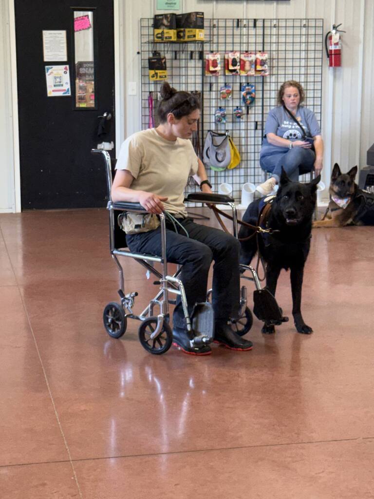 NHMS Student Council Visits Duffy's Dog Training Facility - May 19, 2026