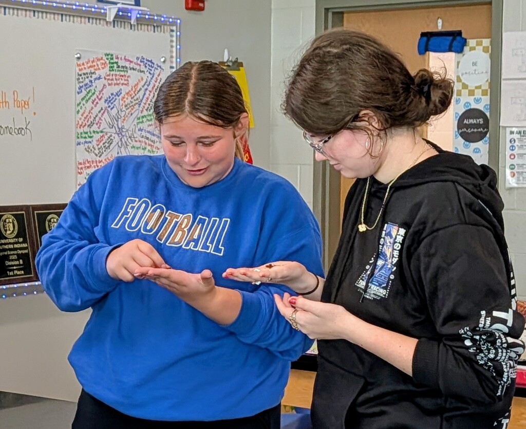 Mrs. Wade's 8th Grade Science Classes - Composting Worms have Arrived! 2026