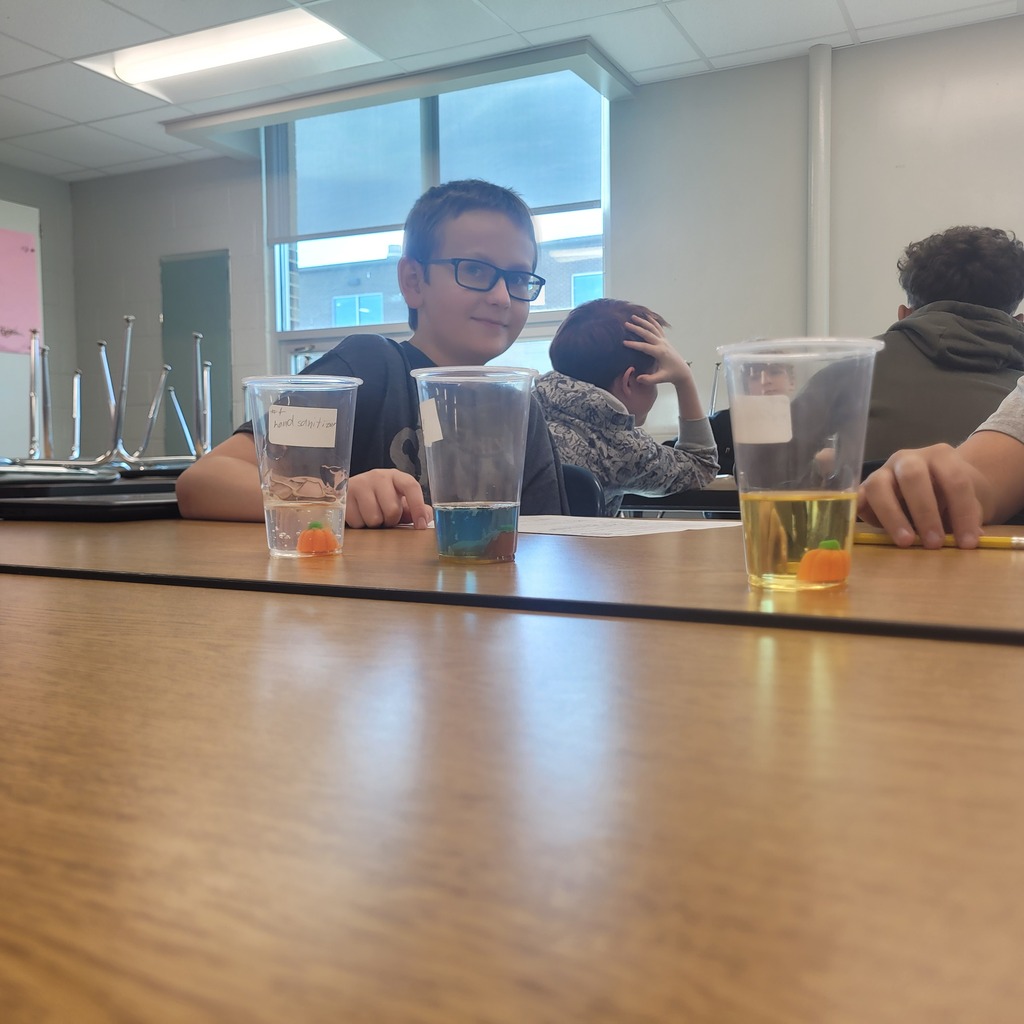 Mrs. Kamer's Dissolving Pumpkin Activity - 2026