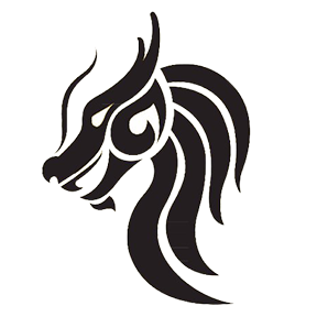 DMS Dragon Logo
