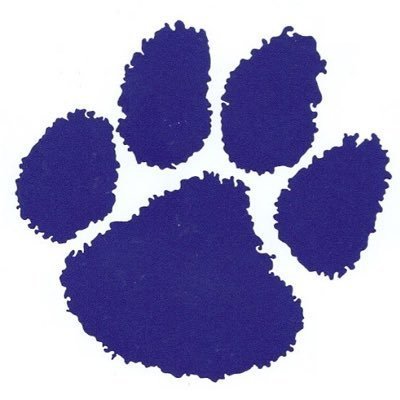 Wildcats Symbol