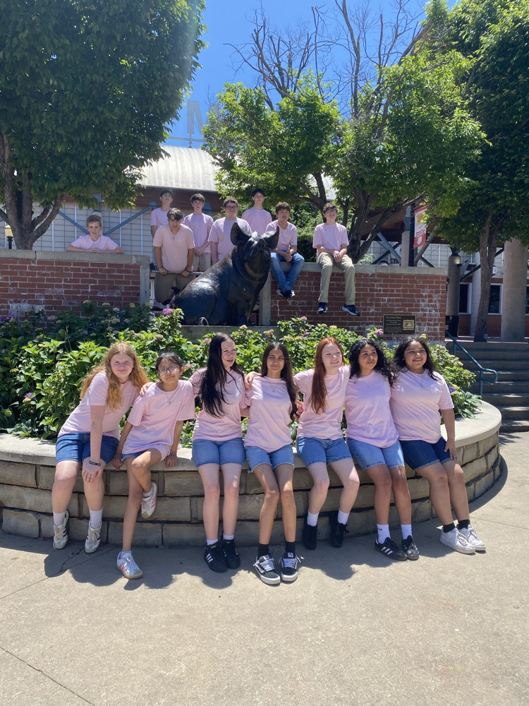 8th Last Day