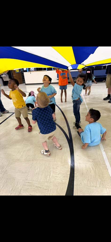 Field Day