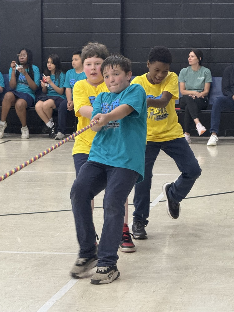 Field Day