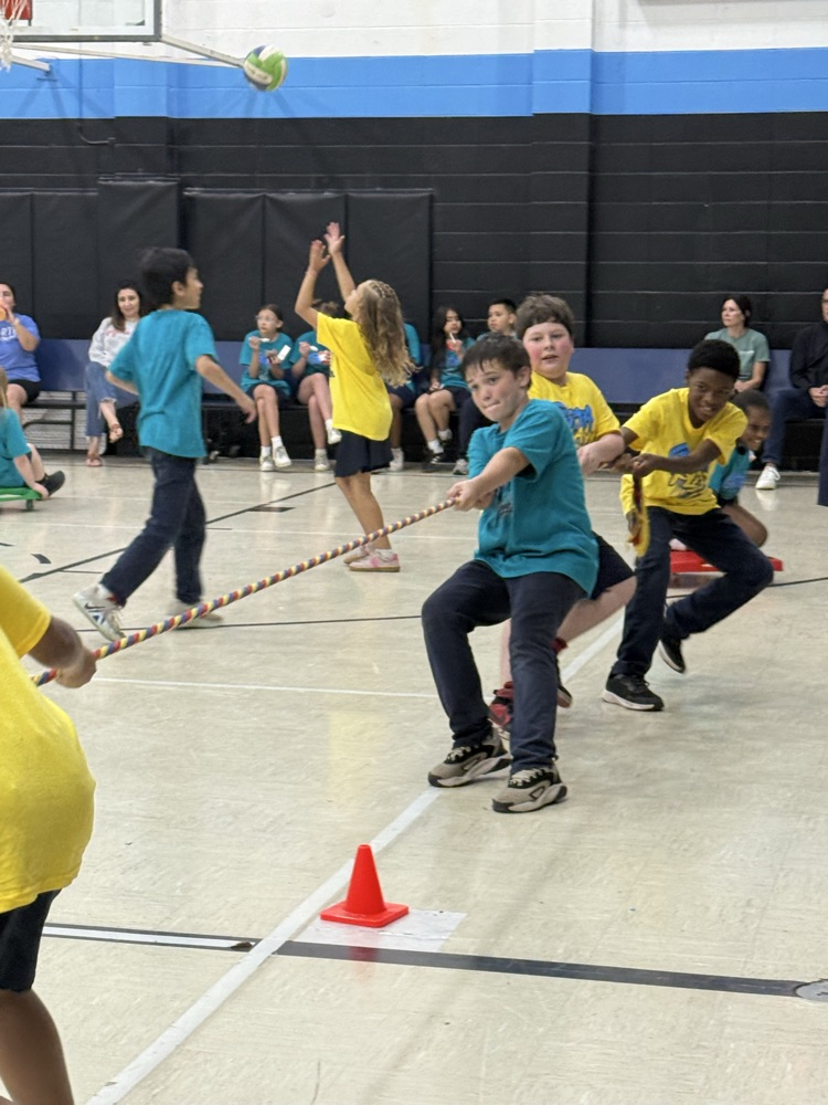 Field Day