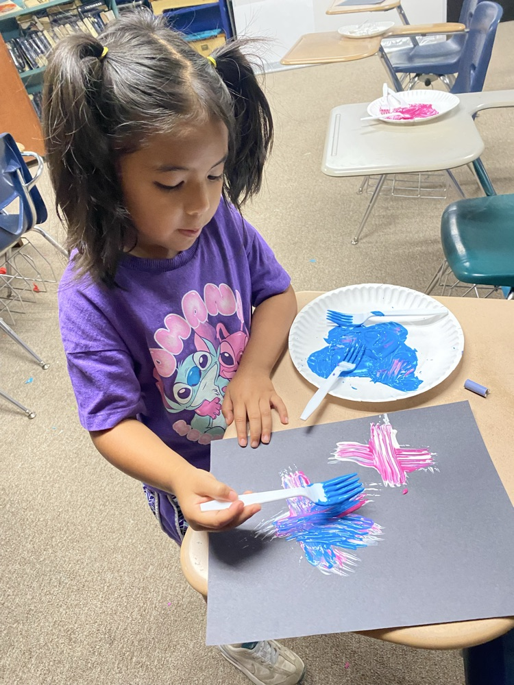 Summer care made fireworks today for 4th of July
