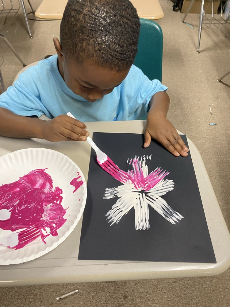 Summer care made fireworks today for 4th of July