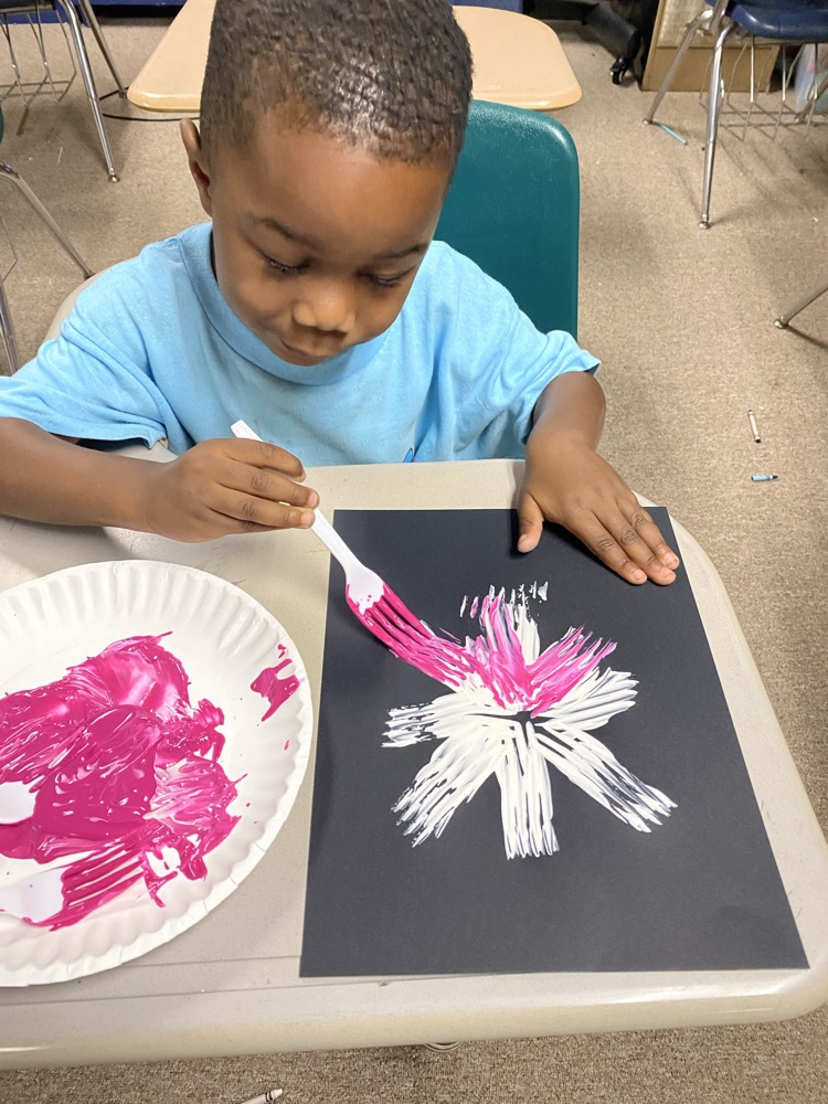 Summer care made fireworks today for 4th of July