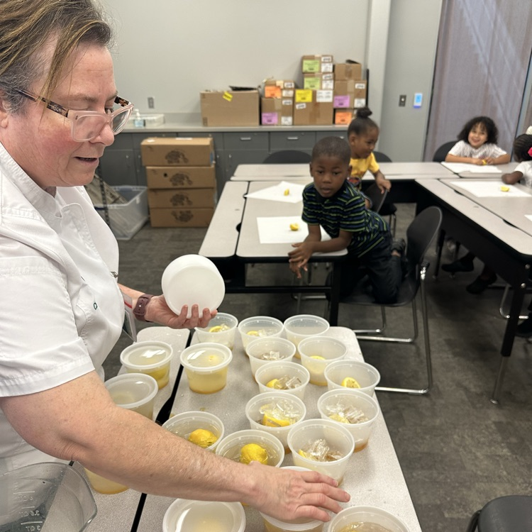 chef dividing lemonade 
