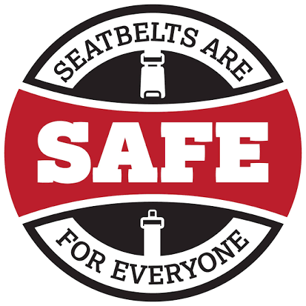 SAFE logo