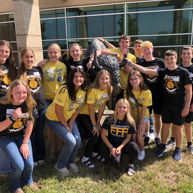 the freshman in front of the buffalo.