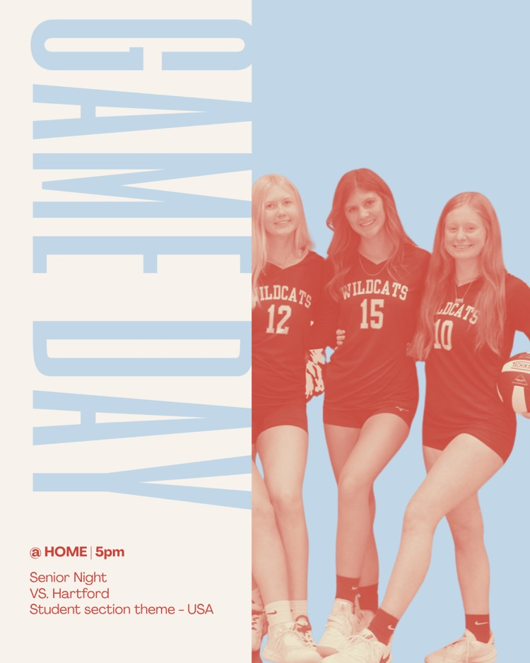 VB game poster