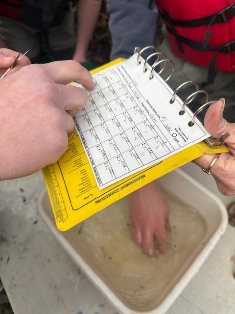 Aquaculture Class on Union River