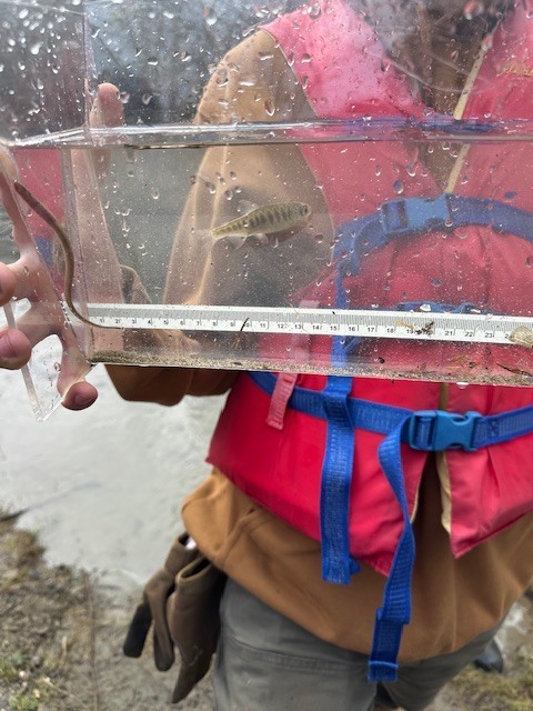 Aquaculture Class Fish Tank