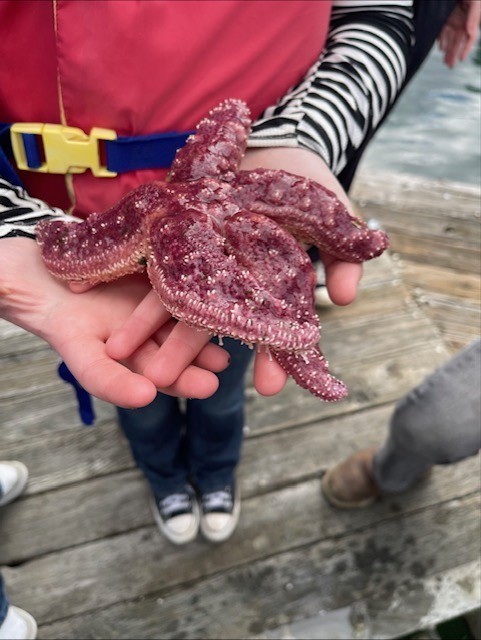 Aquaculture class -Starfish