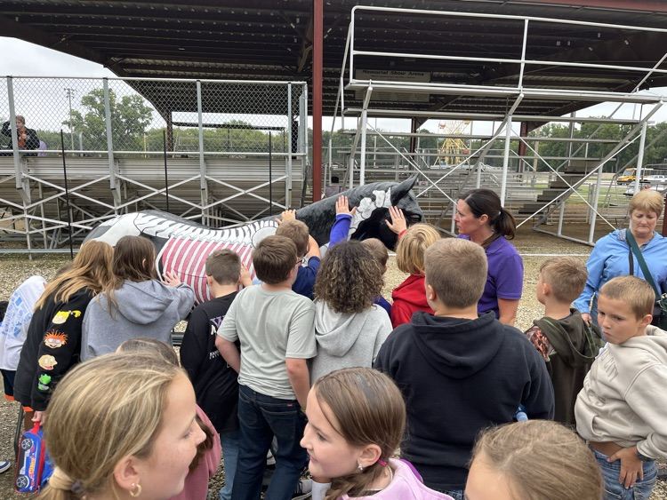 K-State Vet equine demo