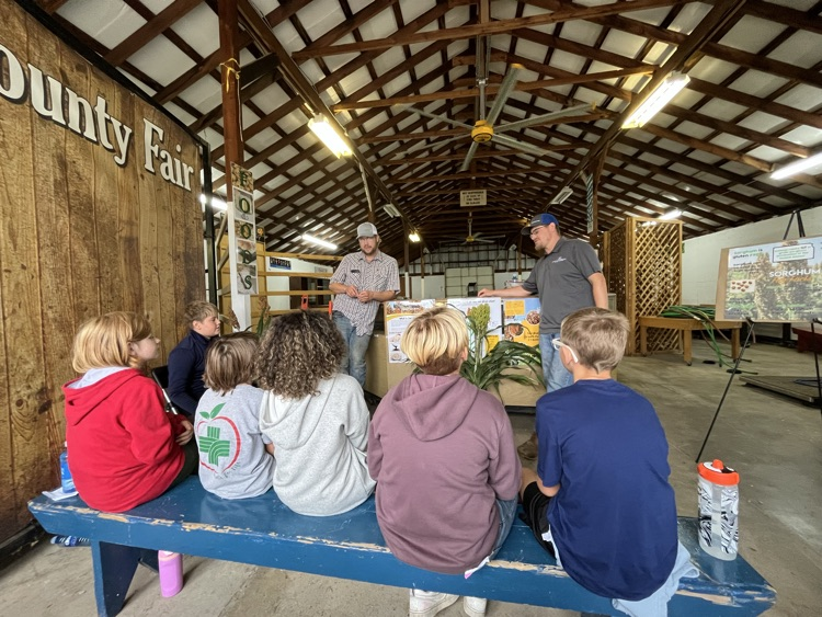 learning about sorghum