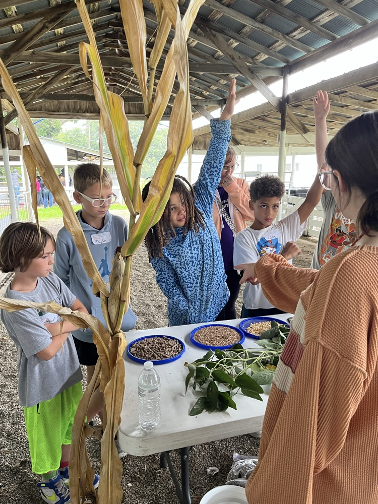 K-State Extension - Kansas crops demo