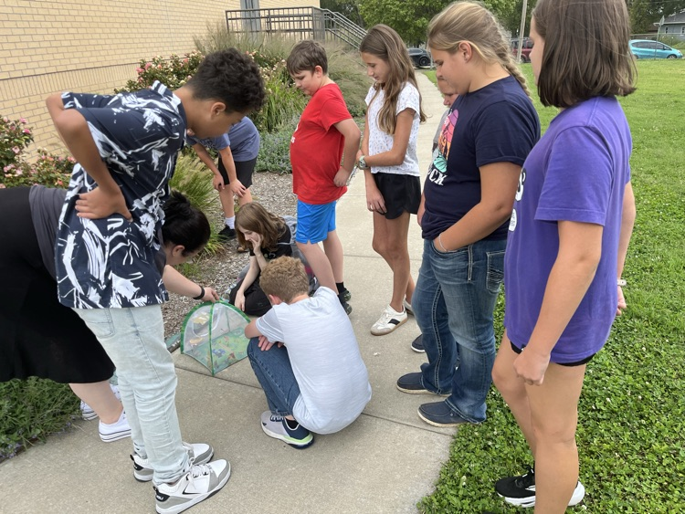 Students releasing butterflies