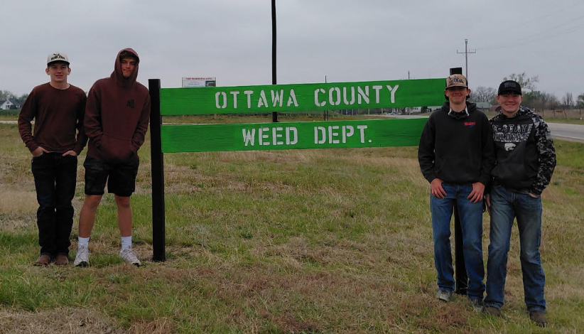 FFA Boys Painting Signs 2