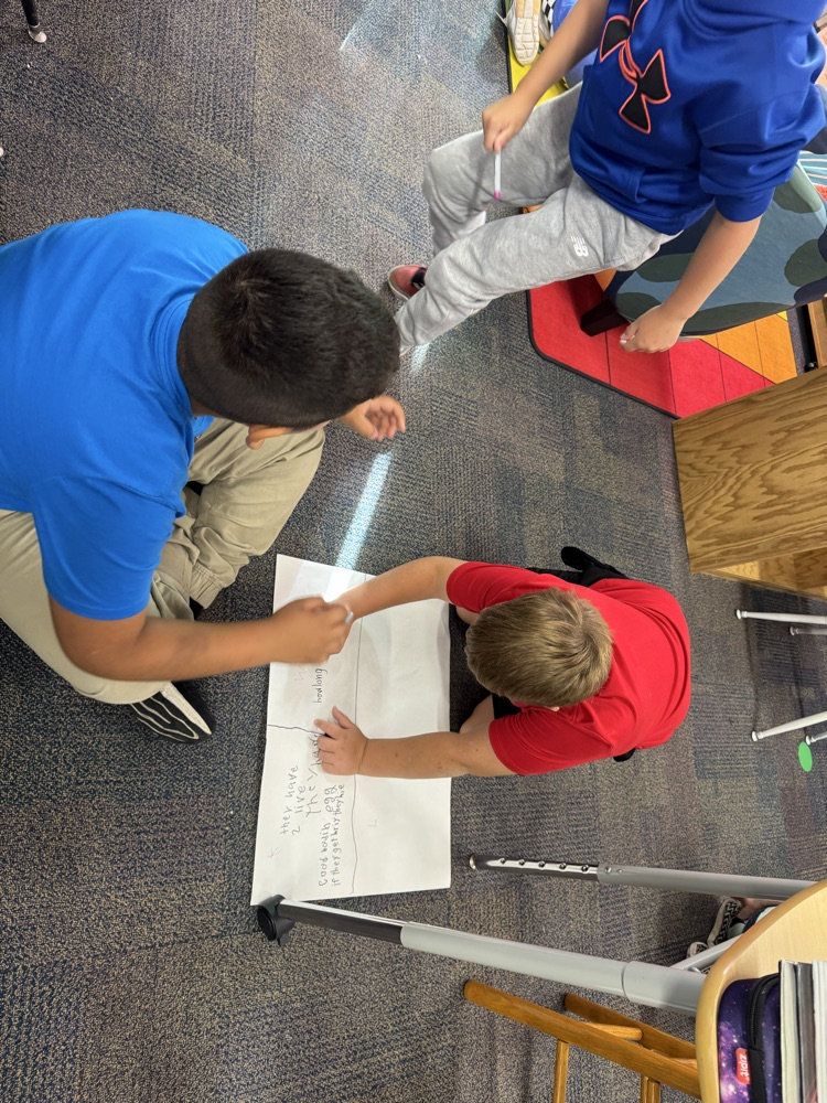 students working on posters about frogs