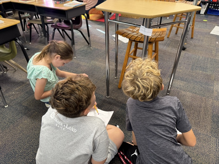 students working on posters about frogs
