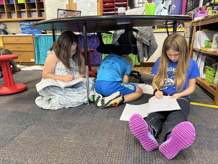 students working on posters about frogs