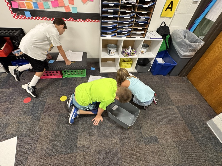 students working on posters about frogs