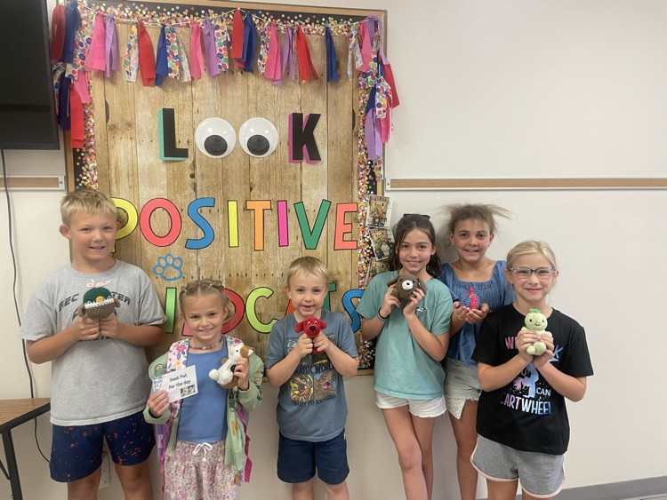 positive tickets 