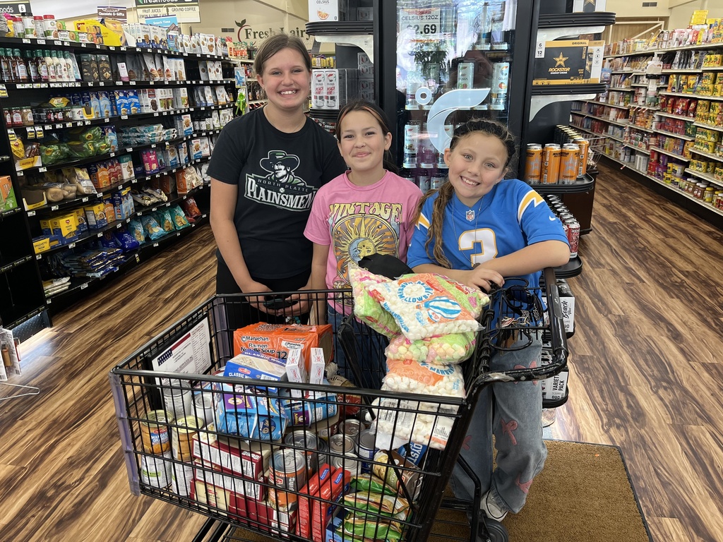 Troop 18145 Helping NPPS