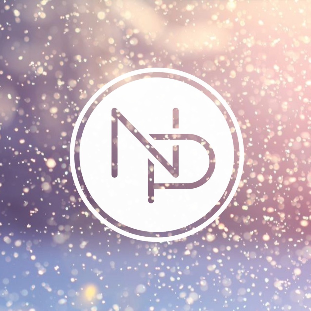 NP logo with snow