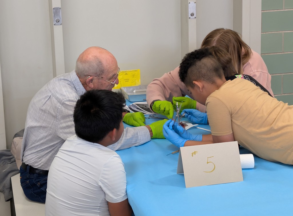 Students and community members looking at fish.
