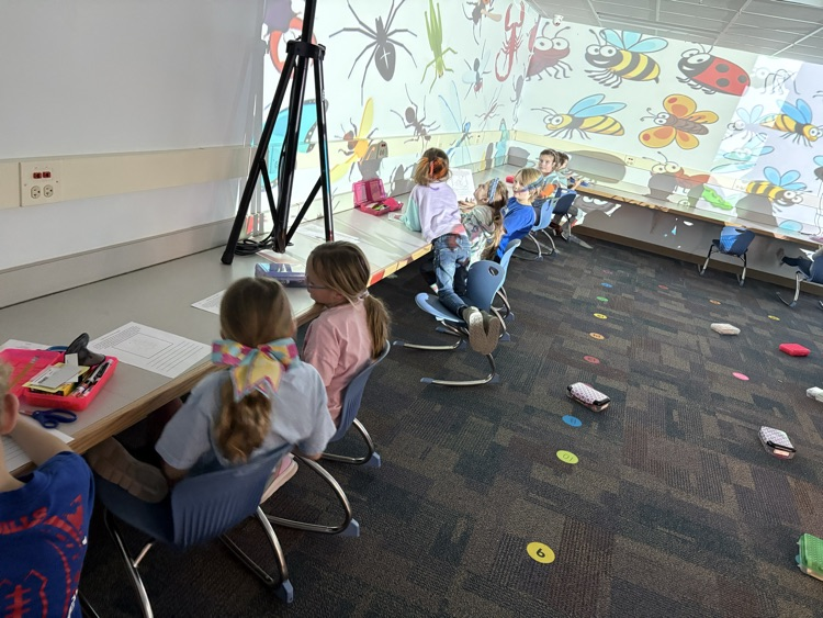 day in the life of an insect writing