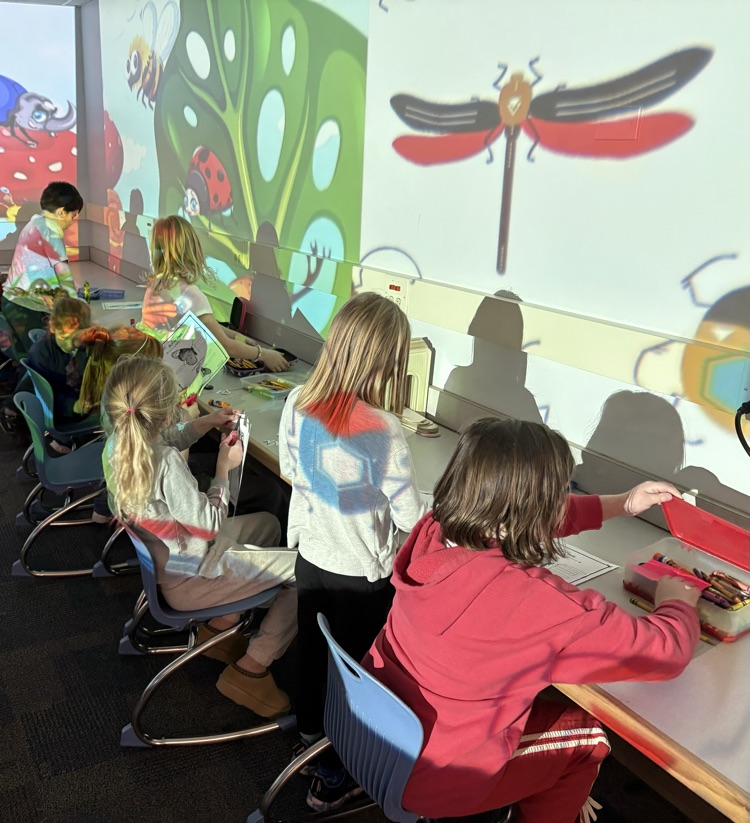 insect labeling and fact writing 