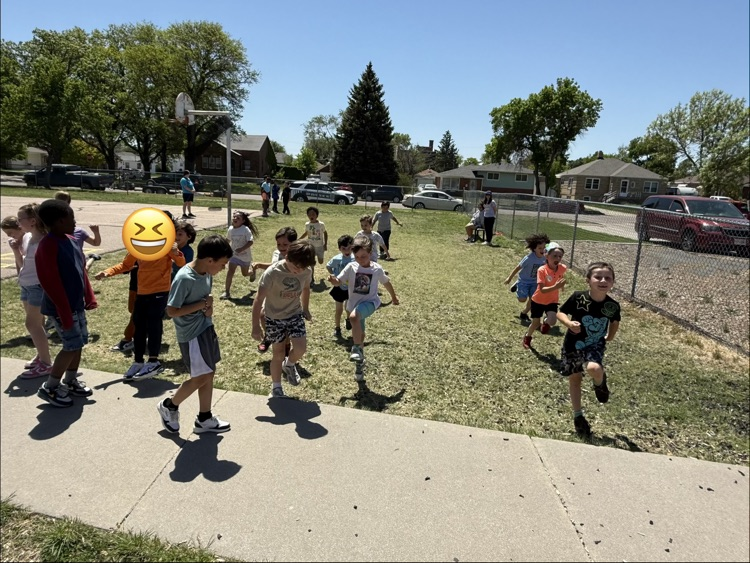 field day