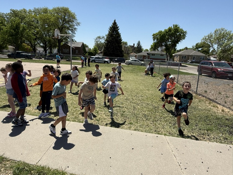 field day