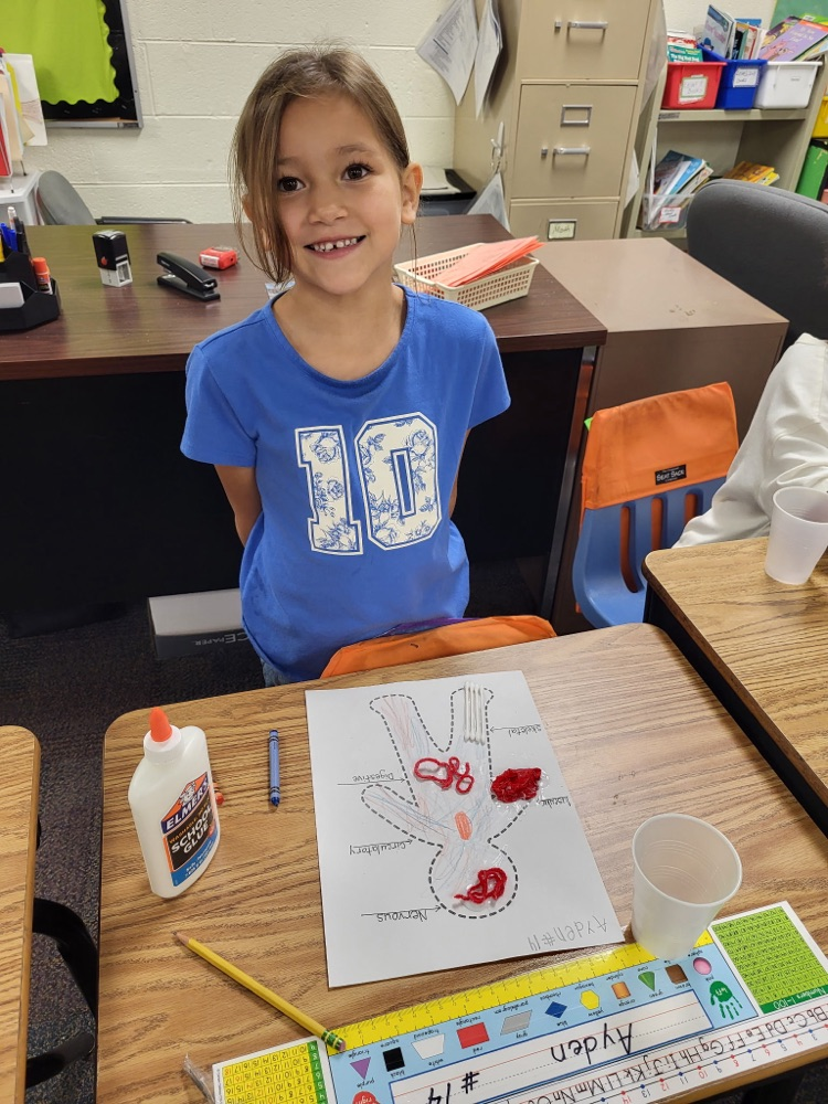 body unit circulatory picture 