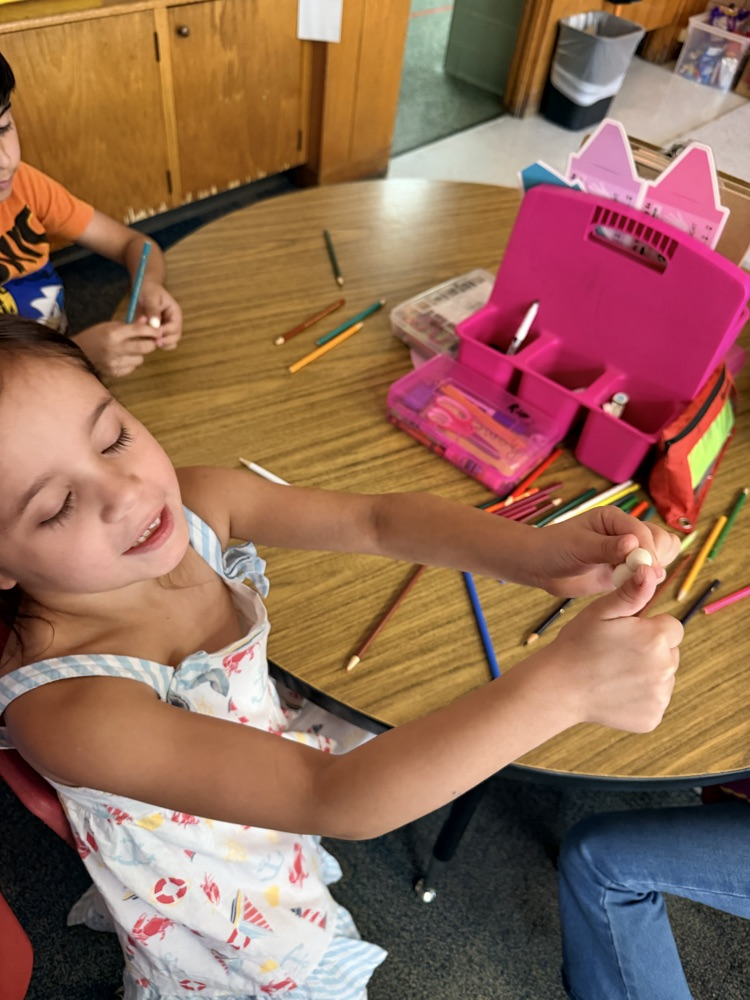 Mrs. Younghans’ 1st grade class created their very own “Tom Thumb” character from their Knowledge story they read today!