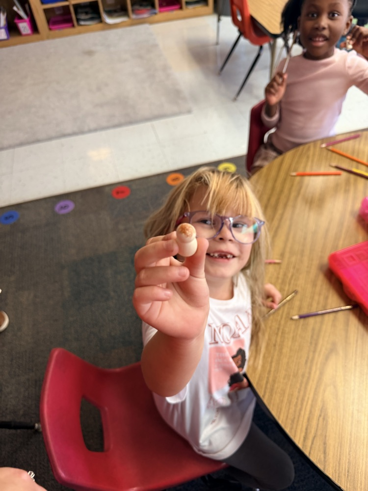 Mrs. Younghans’ 1st grade class created their very own “Tom Thumb” character from their Knowledge story they read today!